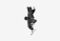 7RYMS SR-AU01-K1_0426529101732