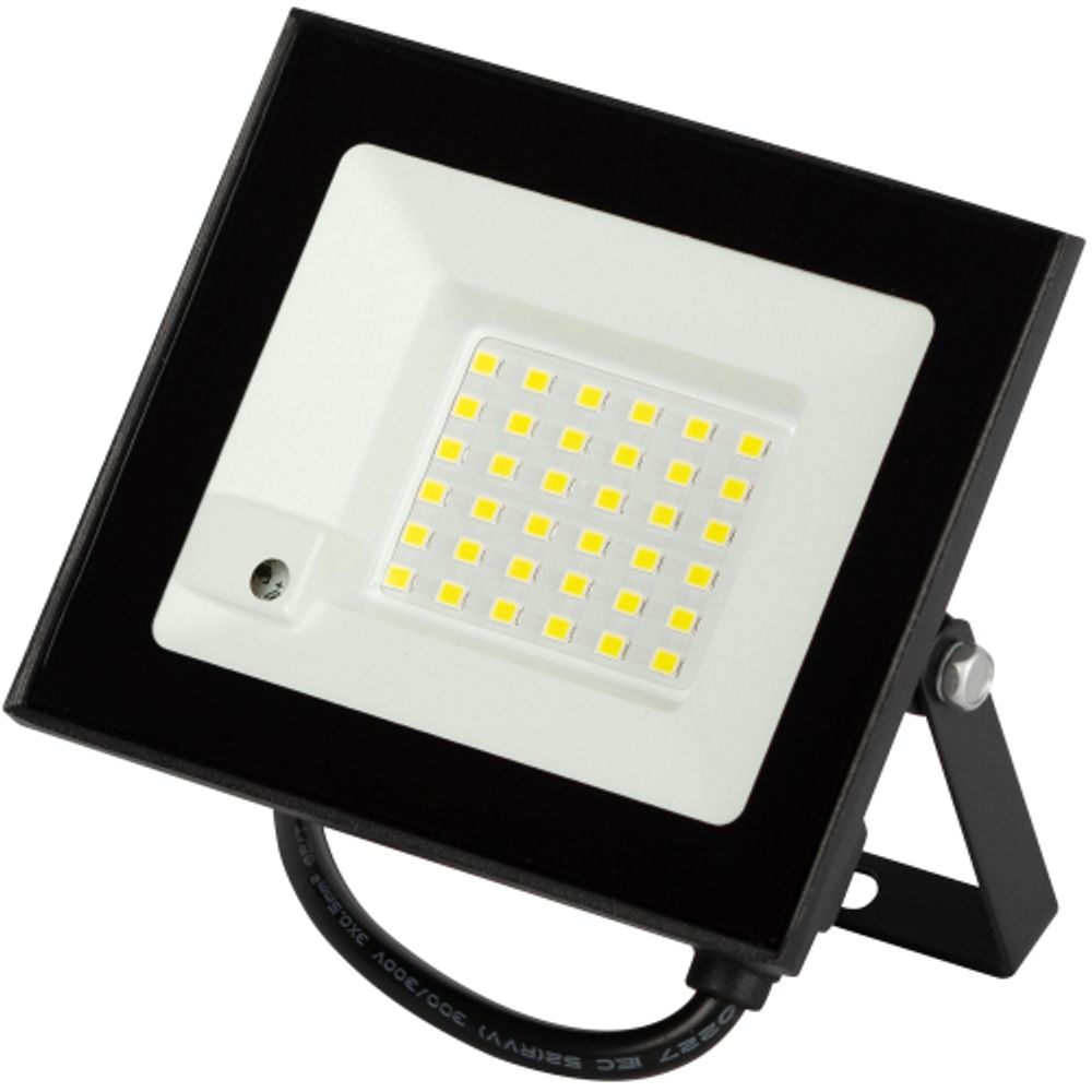 Прожектор светодиодный уличный ЭРА LPR-041-1-65K-020 20Вт 6500К 1600Лм IP65 датчик движения нерегулируемый | Прожекторы Стандарт