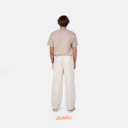 Брюки мужские Dickies Fishersville Pant артикул:DK0A4YSDF901 - купить в магазине Дайс