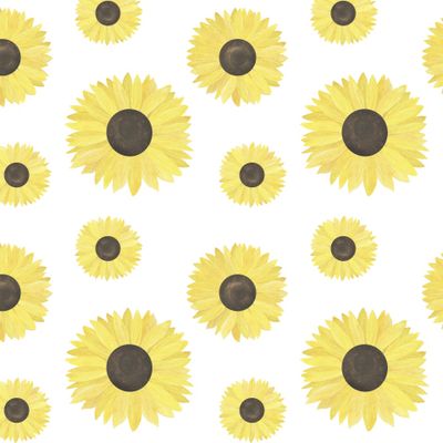 Подсолнухи акварель