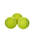 Мяч для большого тенниса Champion Speed 610, 3 шт.