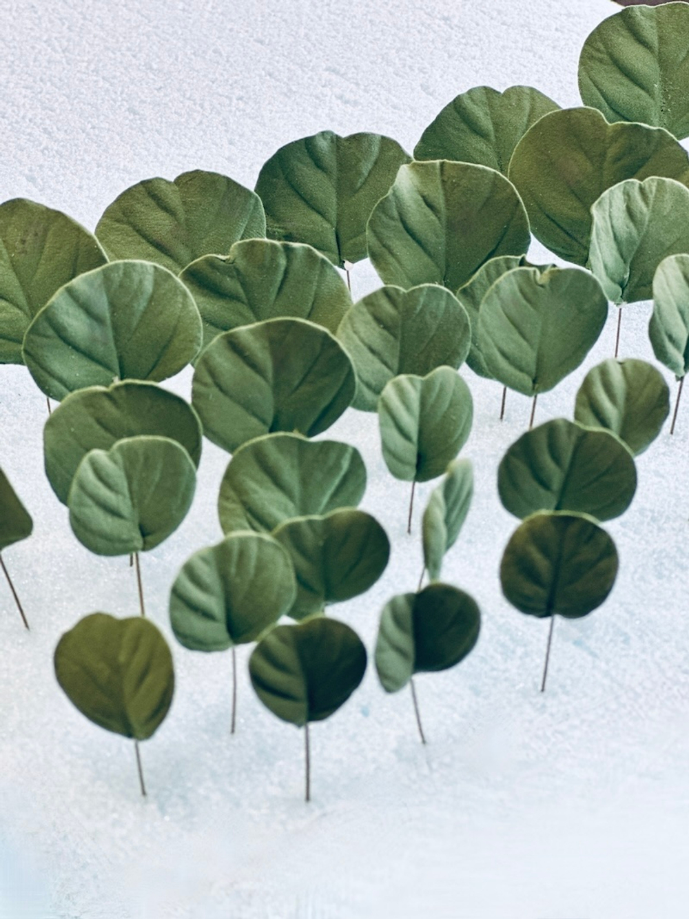 Набор вайнеров для лепки листьев эвкалипта Coprussia