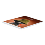 Тетрадь, 48 л, клетка, СОВРЕМЕННЫЕ КОТЫ А5