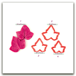 Лист смородины крупный