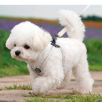 003 Шлейка (фиксатор-пряжка с защелкой, размер-в-размер) SSOOOK