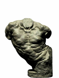 Торс Mitch Shea 70 см