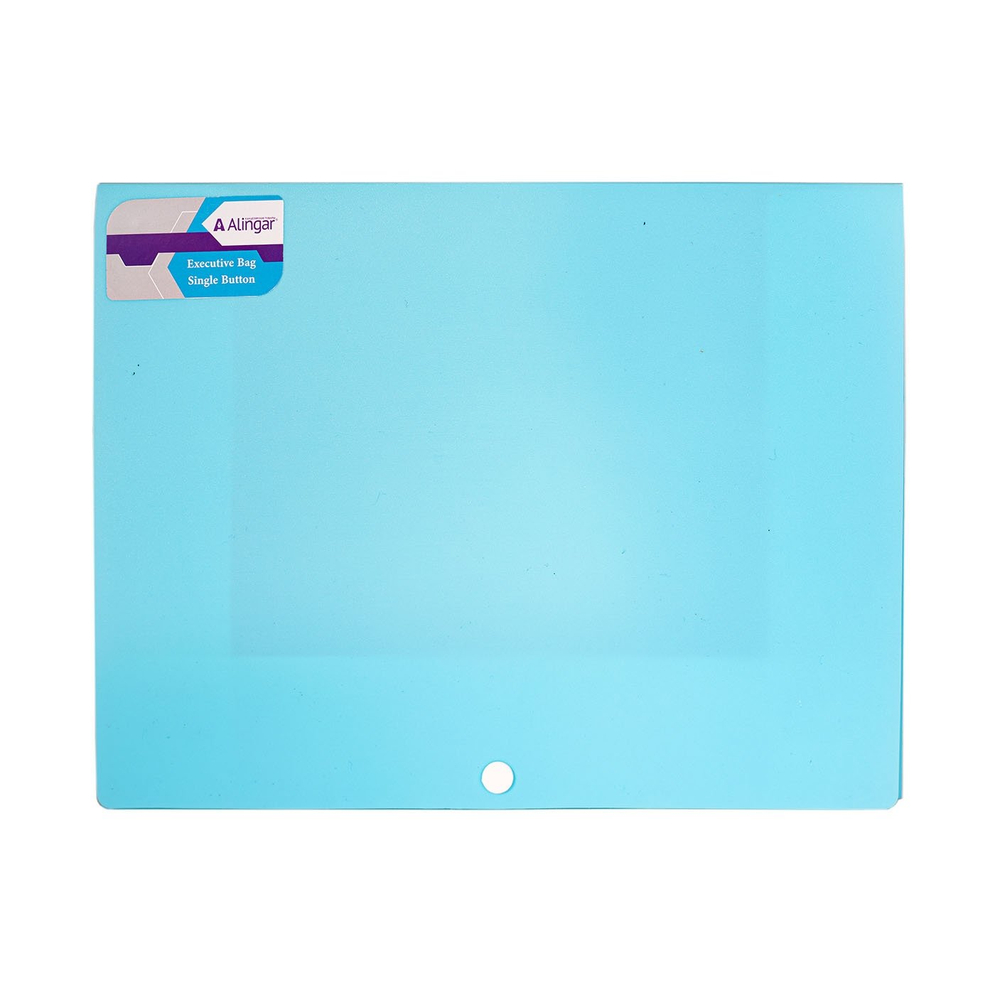 Папка на кнопке Alingar, A4, 240х320х10, 500 мкм, карман для визитки, ассорти, матовая, "Ice"