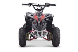 Квадроцикл YACOTA RENEGADE Mini 110