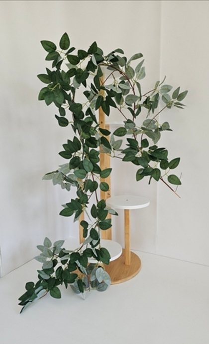 Роза лиана / Арт 4351