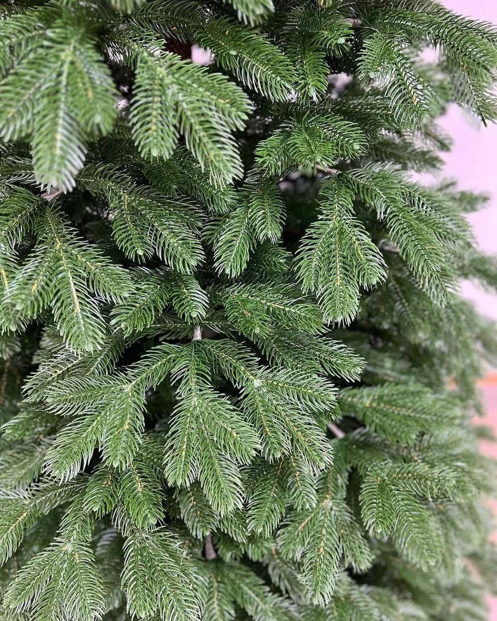 Елка с гирляндой встроенной «Королева леса» (Литая хвоя) 3 м