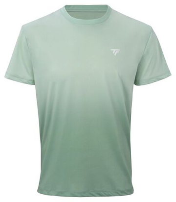 Мужская теннисная футболка Tecnifibre Team X-Loop - sage