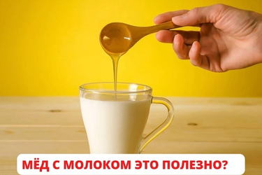 МЁД С МОЛОКОМ, почему это полезно?