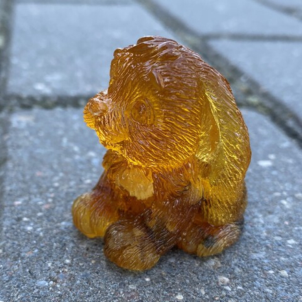 Кролик вислоухий