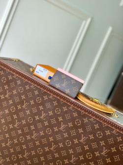 Louis Vuitton Card Holder