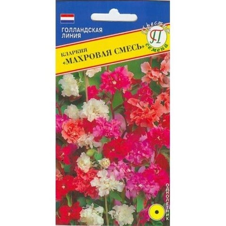 Кларкия Махровая смесь Престиж