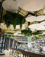 Озеленение искусственными растениями кафе в супермаркете "Табрис"  г.Краснодар