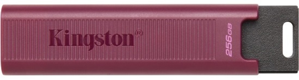 Накопитель USB 3.2 256GB Kingston DTMAXA/256GB