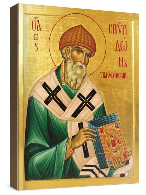 Спиридон Тримифунтский  (рукописная икона)