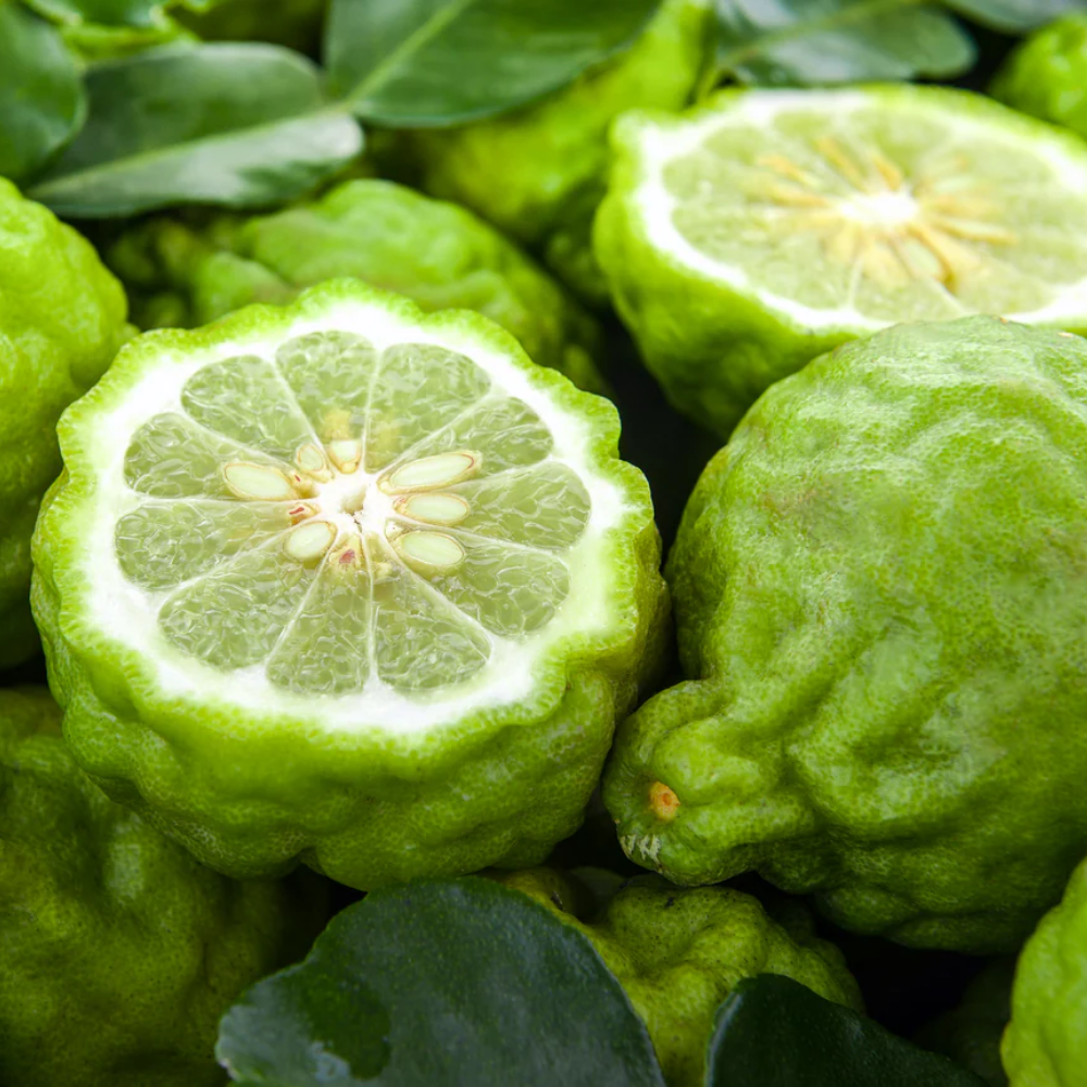 Бергамот (Bergamot)