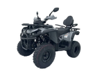 Комплект для сборки квадроцикла HAMMER 6 250L, с лебедкой Черный