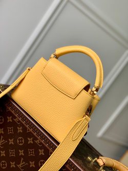 Louis Vuitton Capucines Mini