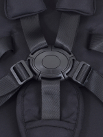 Коляска 2 в 1 Rant Garda