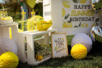 Фотозона "Lemon Party"