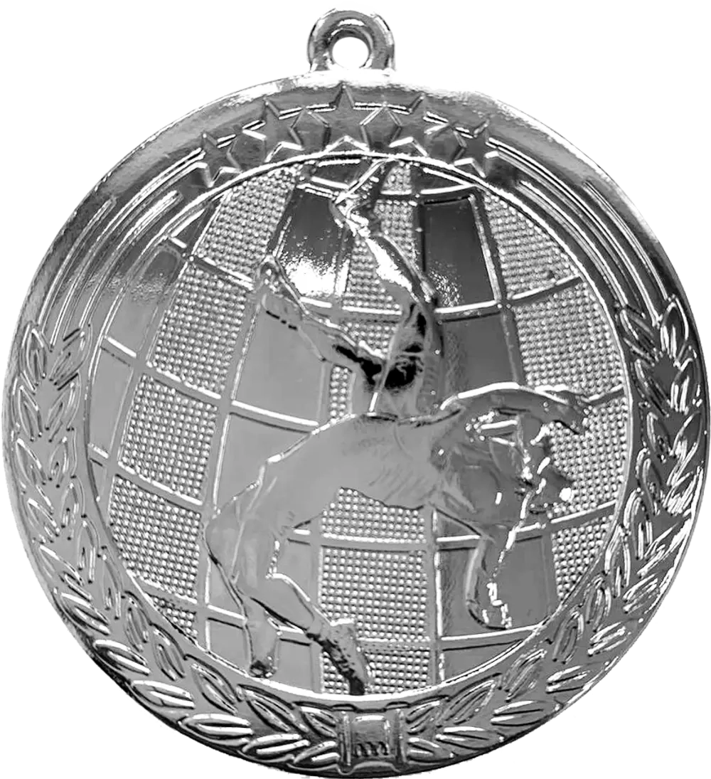 Медаль Борьба