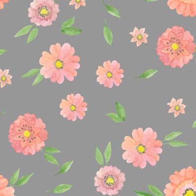 Розовые цветы (маргаритки) на сером фоне