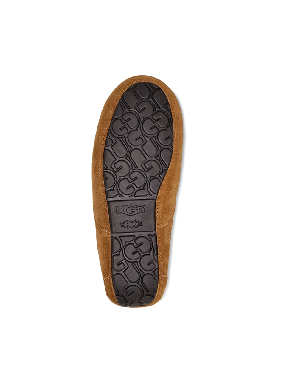 ASCOT MENS chestnut