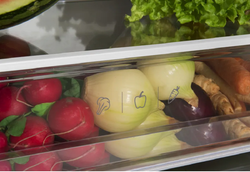 Встраиваемый холодильник Hansa BK315.3