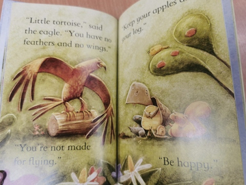 Tortoise and the Eagle