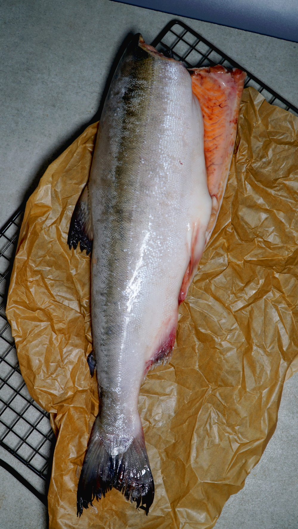 Горбуша, ПБГ, IQF