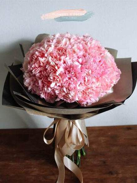 Удивительные гвоздики