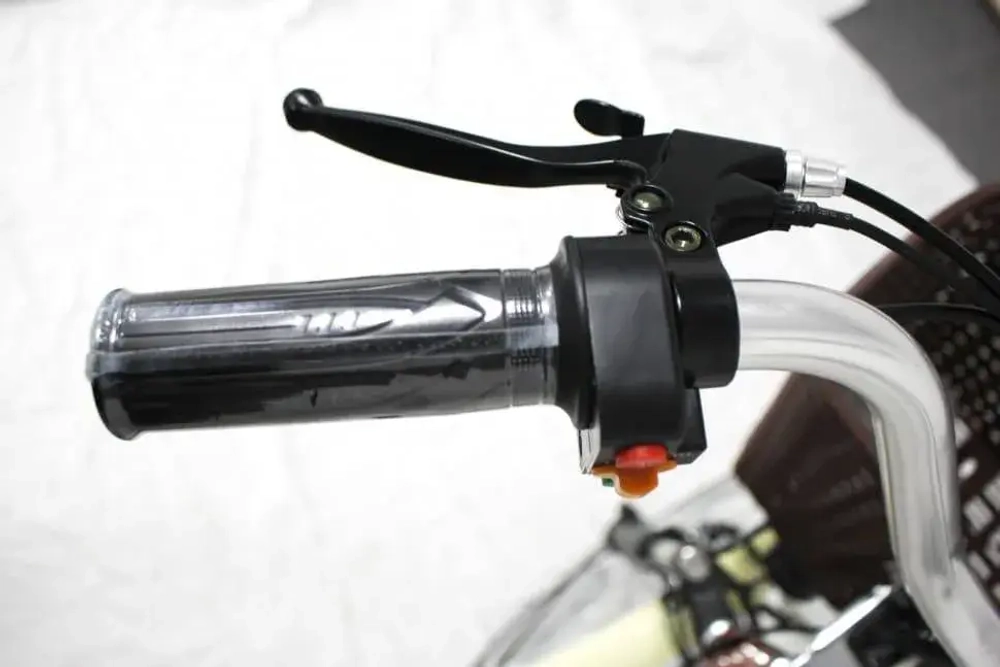 Электровелосипед Green Camel Трайк-24