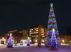 Уличная светодинамическая елка Евро-2 зеленая 10 м., каркасная, ПВХ, Green Trees (GT10EVPVCLED)