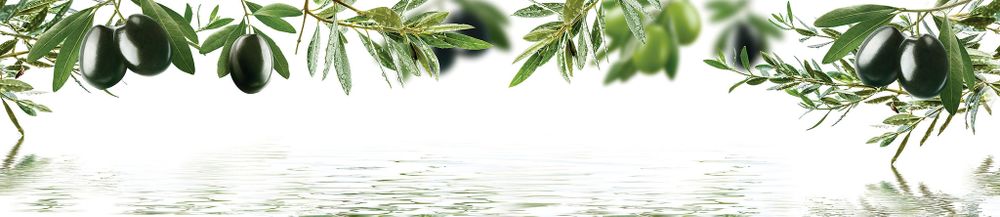 Стеновая панель 2800*610*6 (SP-152 глянец)