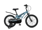 Maxiscoo COSMIC Стандарт 18'' (2025)