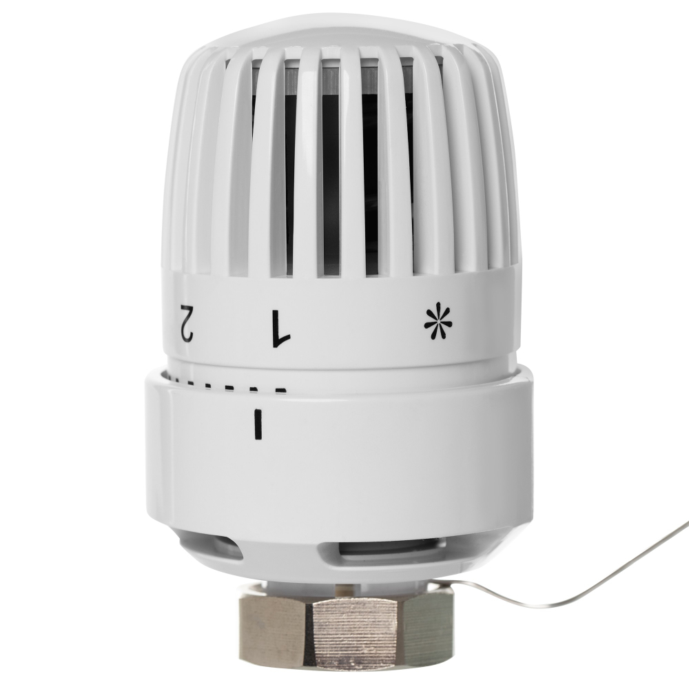 Термоголовка жидкостная Royal Thermo BASIC с выносным датчиком М30х1,5