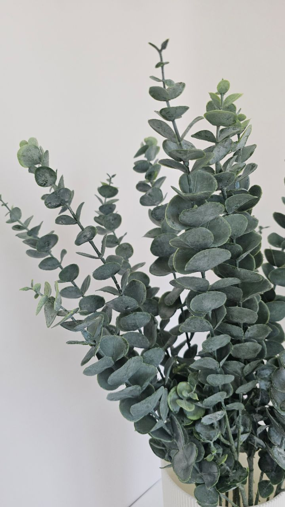 Эвкалипт с напылением / Арт 5170