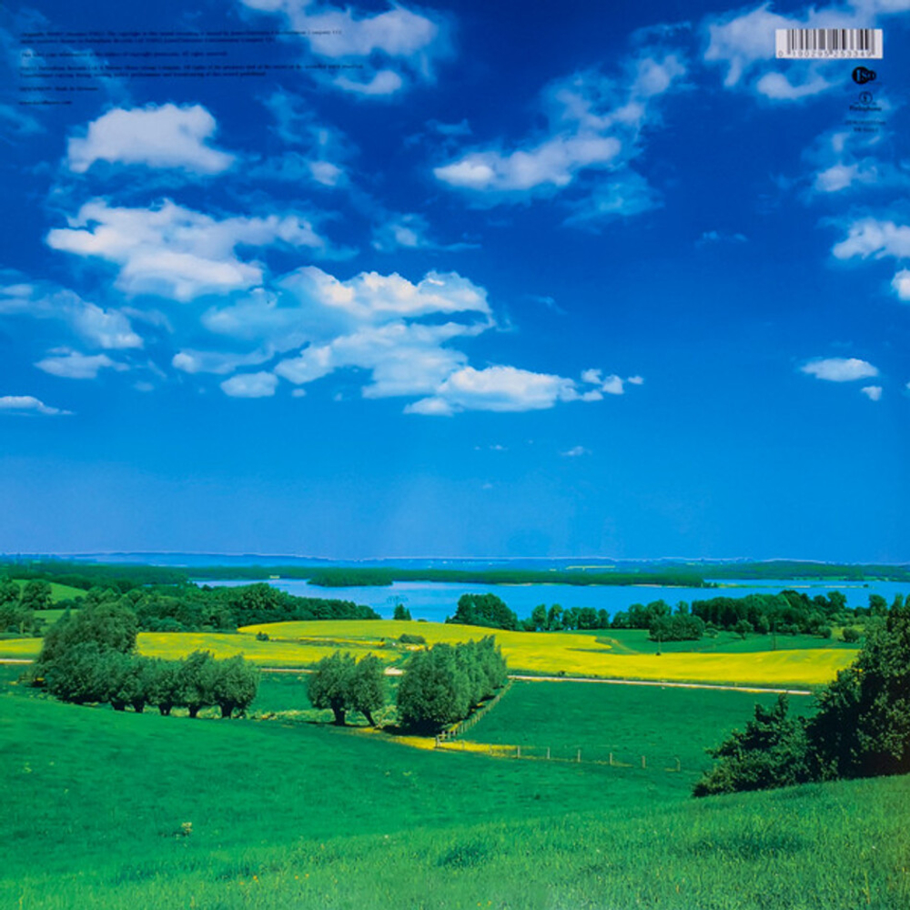 David Bowie / Earthling (2LP)