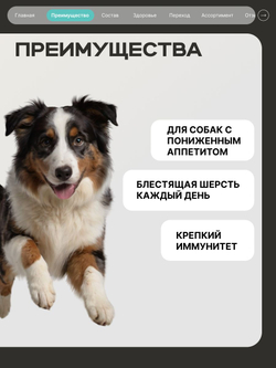 Корм сухой для собак средних и крупных пород, с низким аппетитом, с кроликом, 3 кг, QUATTRO