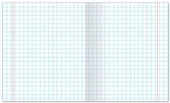 Dəftər \ Тетрадь 48 листов А5 клетка  Мишка (ассорти)