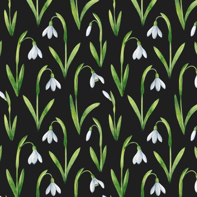 Подснежники на черном фоне