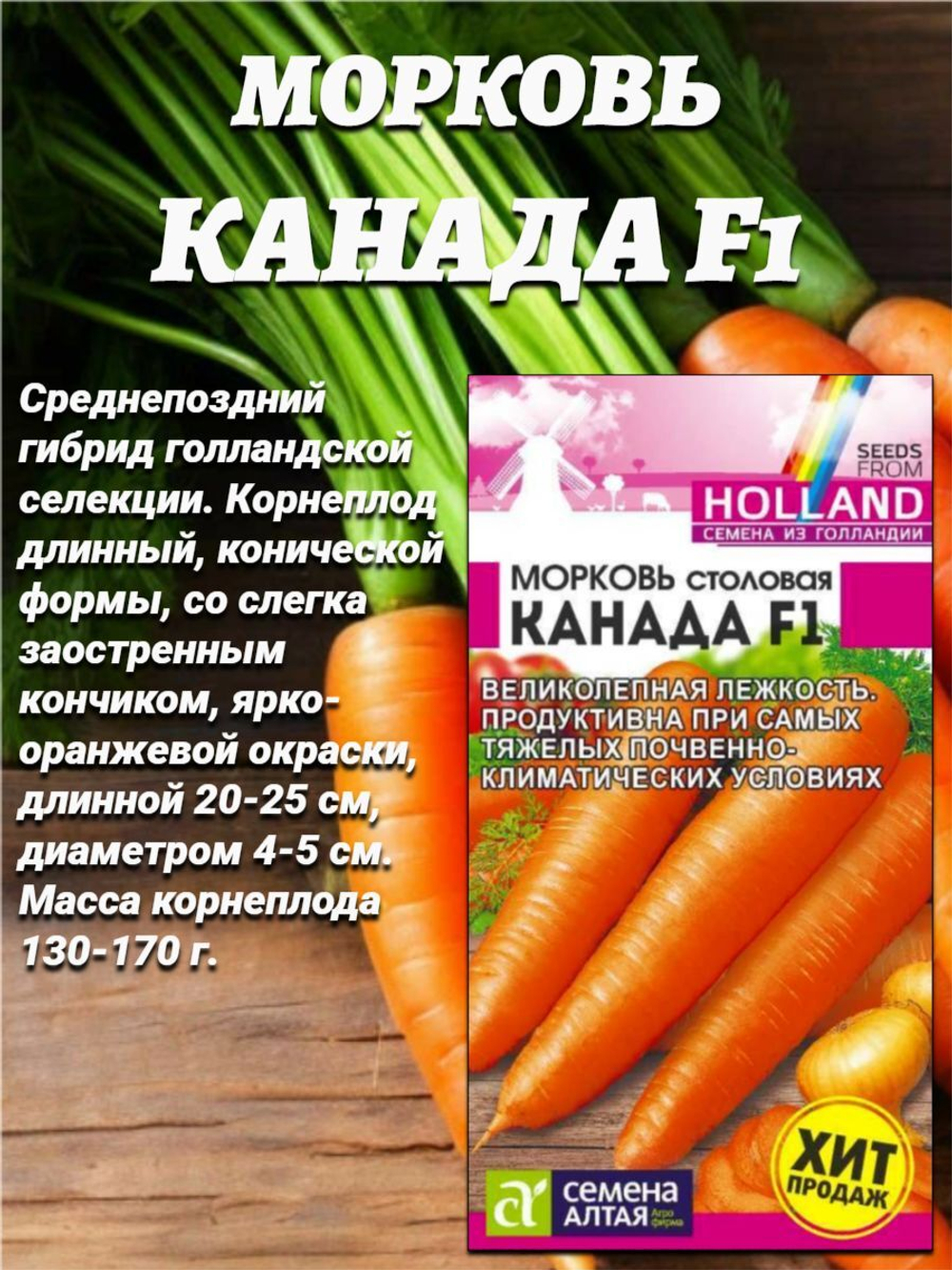 Набор лучших сортов моркови. Семена Алтая