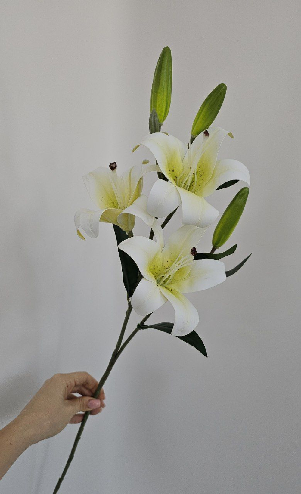 Лилия / Арт 2188