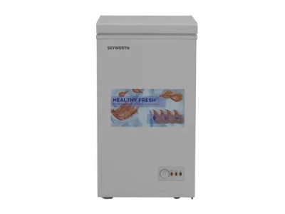 Սառցարան SKYWORTH BD-110B