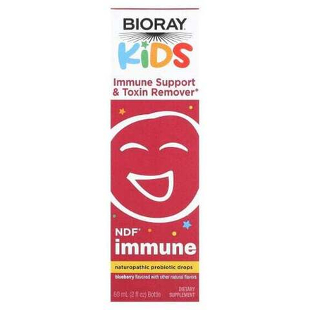 Детское здоровье Bioray, добавка для поддержки иммунитета и выведения токсинов для детей, голубика, 60 мл (2 жидк. унции)