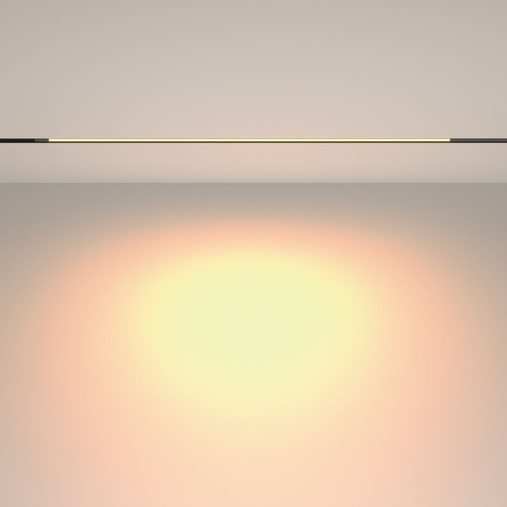 Трековый магнитный светодиодный светильник Maytoni Exility   TR231-2-15W3K-B