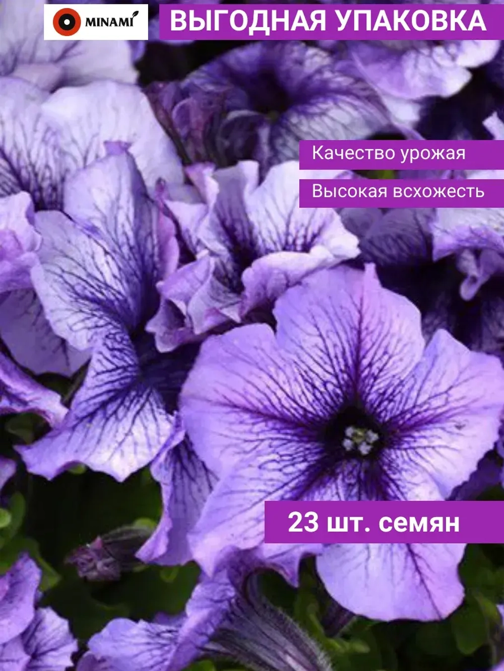 Петуния грандифлора Дэдди Блю F1